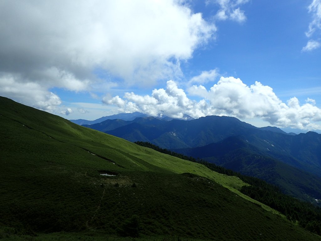 P7245974.JPG - 合歡山  北峰之美  (中)