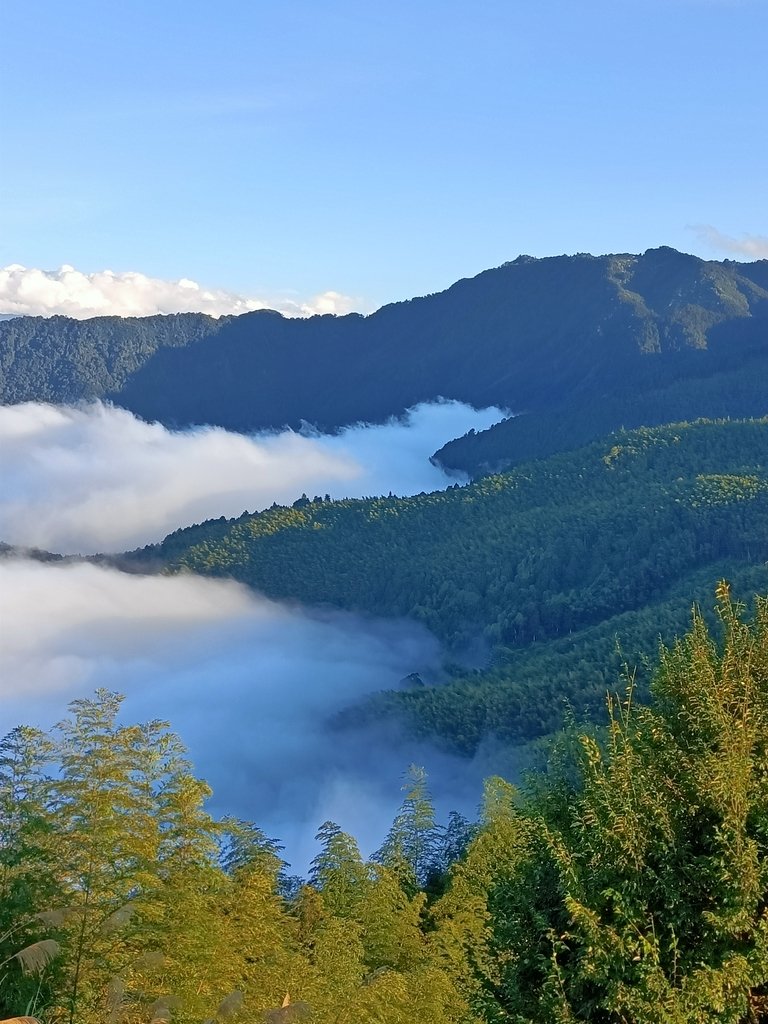 IMG20210107163422.jpg - 鹿谷  大崙山  觀霧亭之  暮光