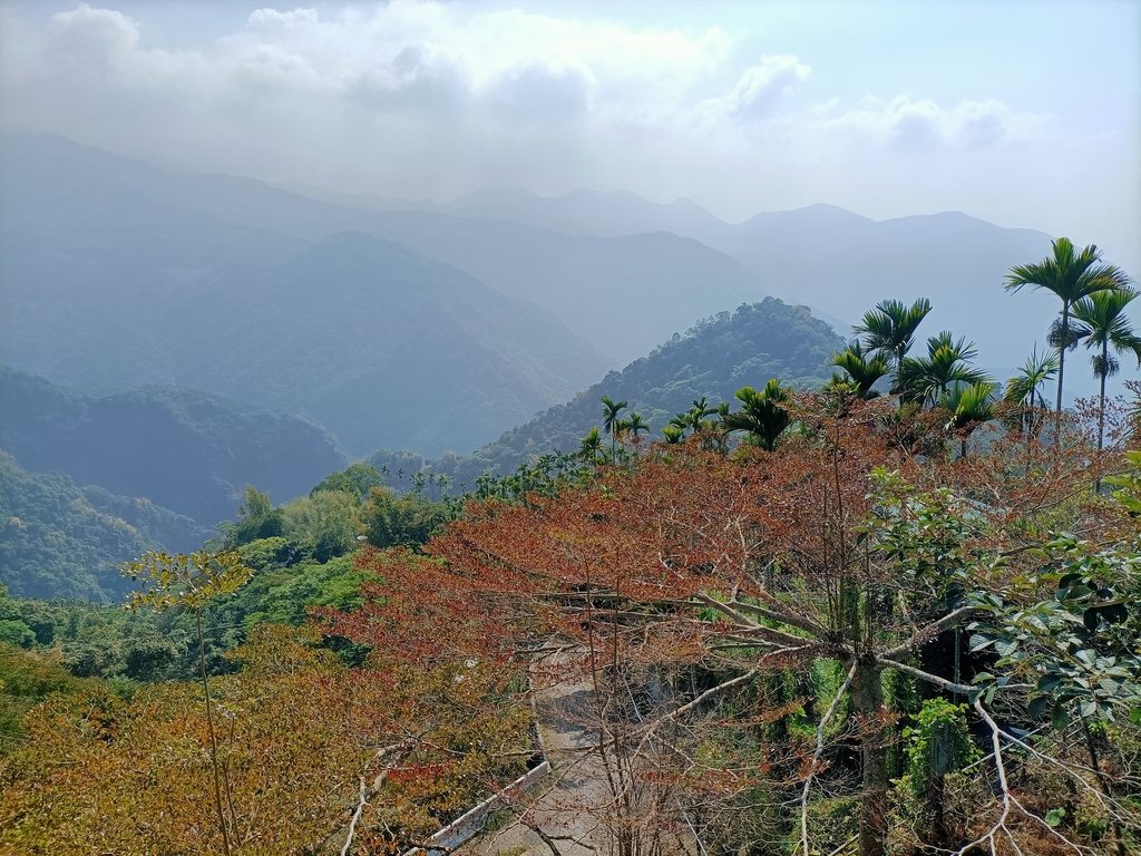 IMG20210130112103.jpg - 竹崎  獨立山登山步道