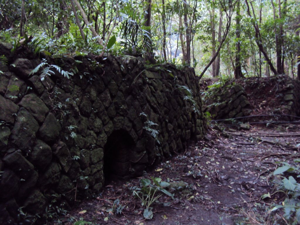 DSC03333.JPG - 瑞芳  粗坑口登山步道