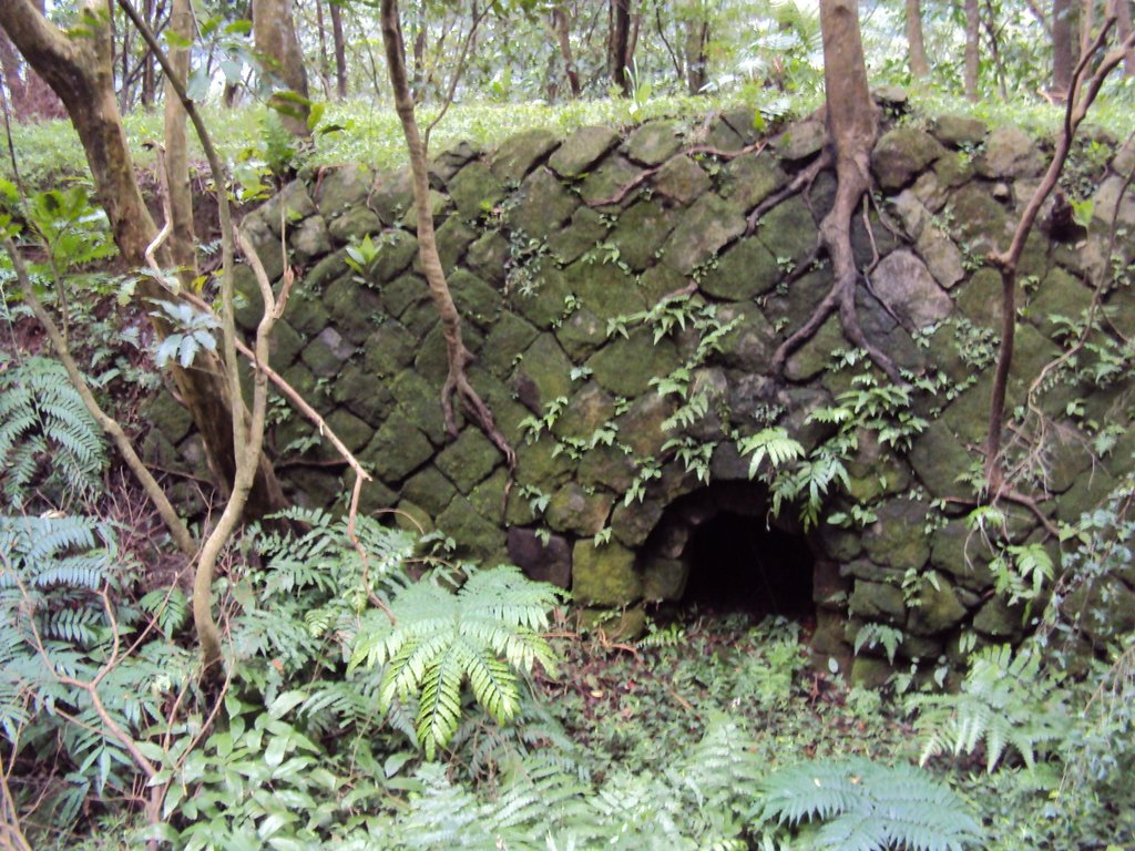 DSC03323.JPG - 瑞芳  粗坑口登山步道