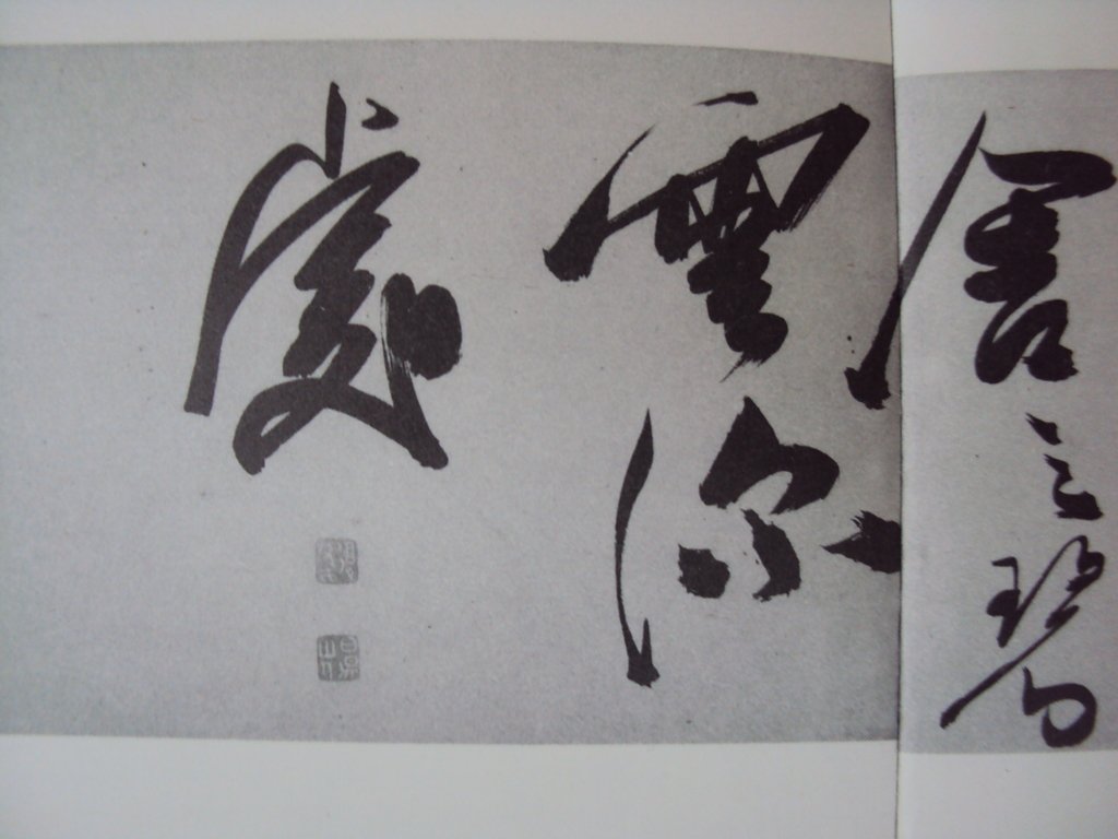 DSC00004.JPG - 陳淳的草書作品