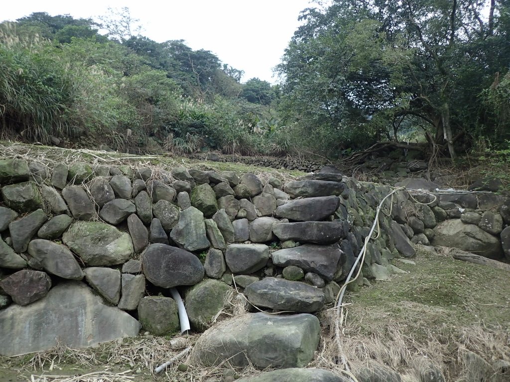 P1263987.JPG - 金山  大路崁古道