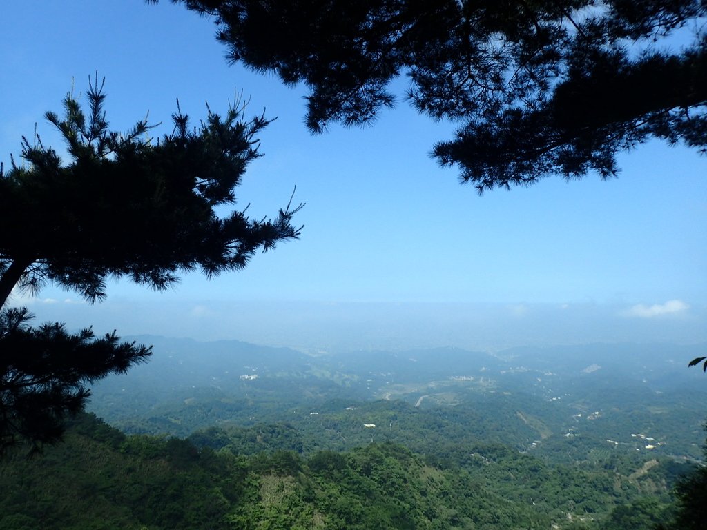 P5117154.JPG - 大坑四號步道  頭嵙山