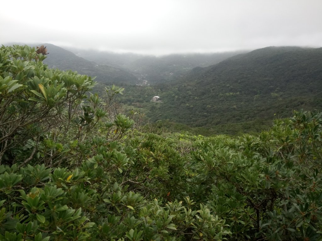 DSC_5862.JPG - 內湖  大崙尾山