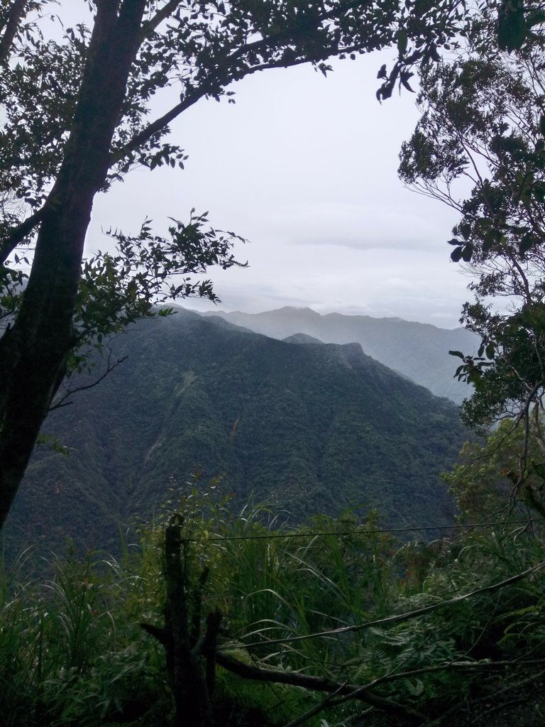 DSC_9527.JPG - 苗栗  泰安  虎山行