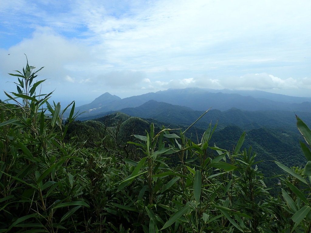 P7203847.JPG - 瑞芳  五分山登山步道