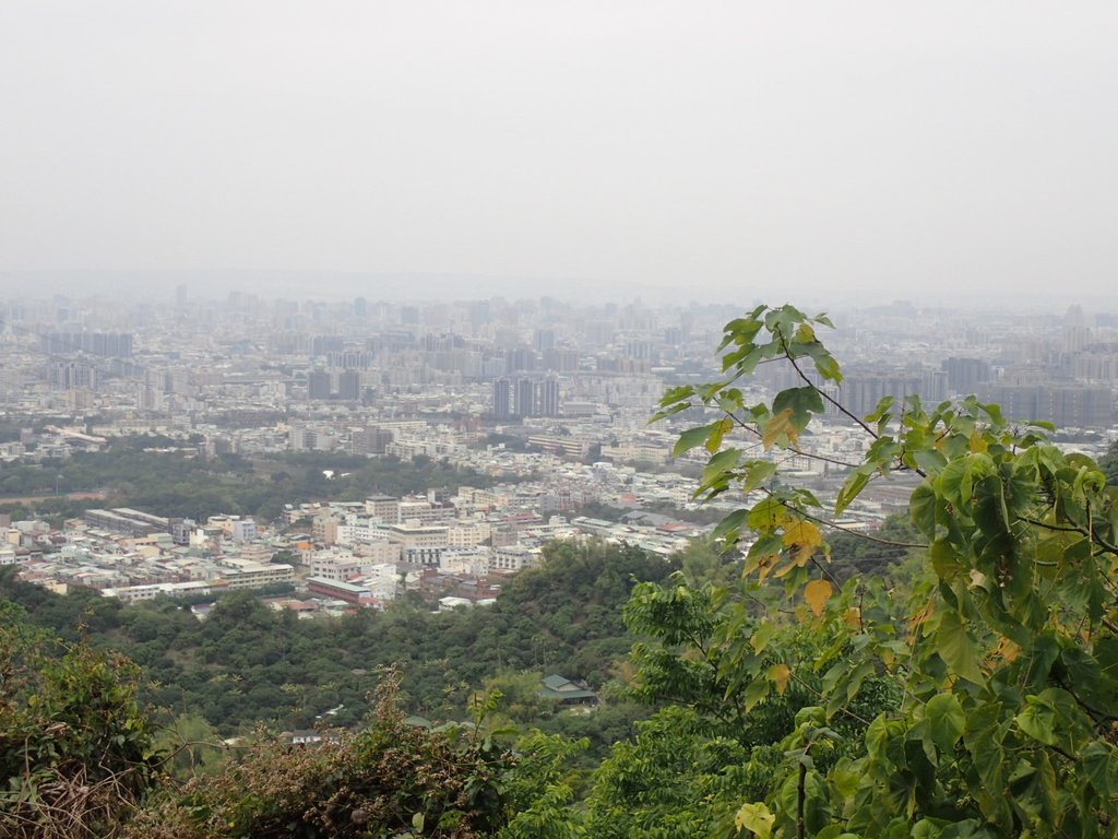 P2095047.JPG - 太平  三汀山  (望高寮)