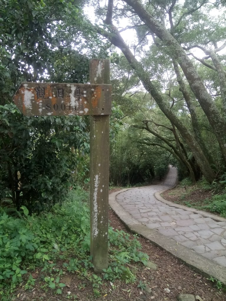 DSC_5875.JPG - 芎林  飛鳳山  (中坑山)