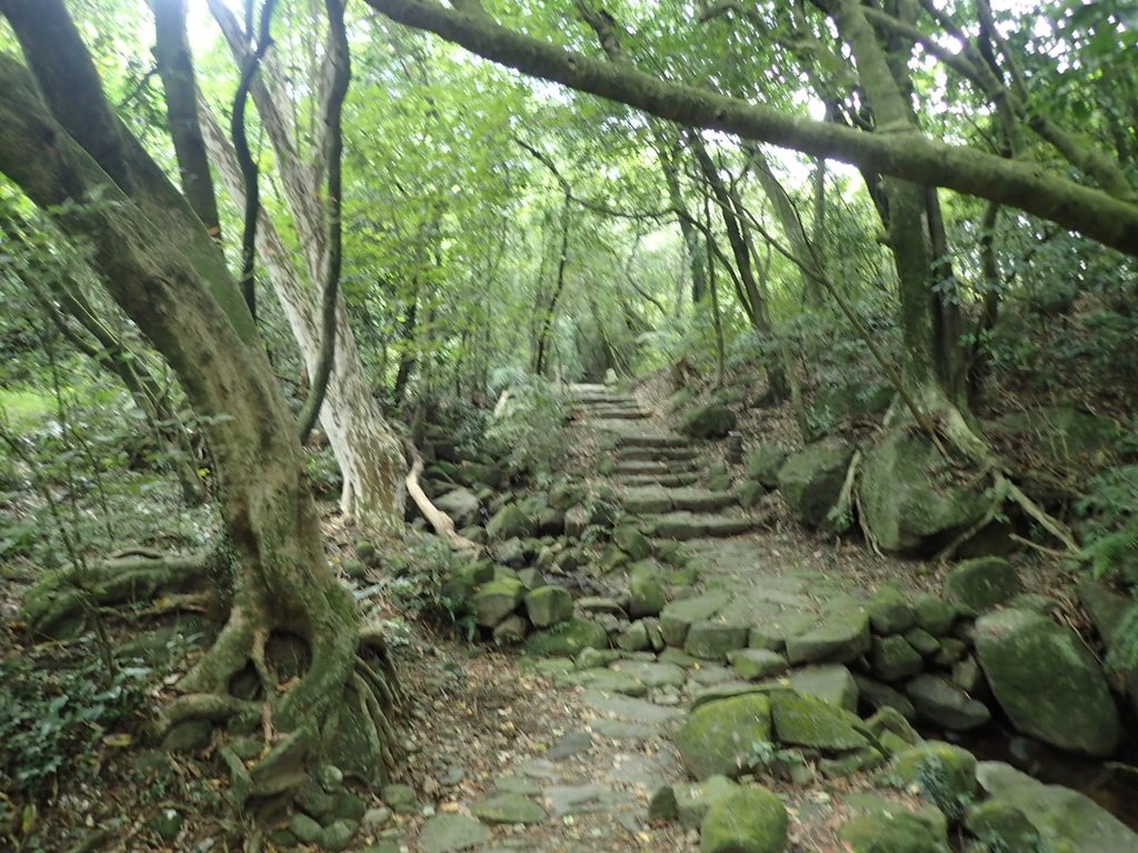 P8206992.JPG - 再訪  金包里大道  (魚路古道)