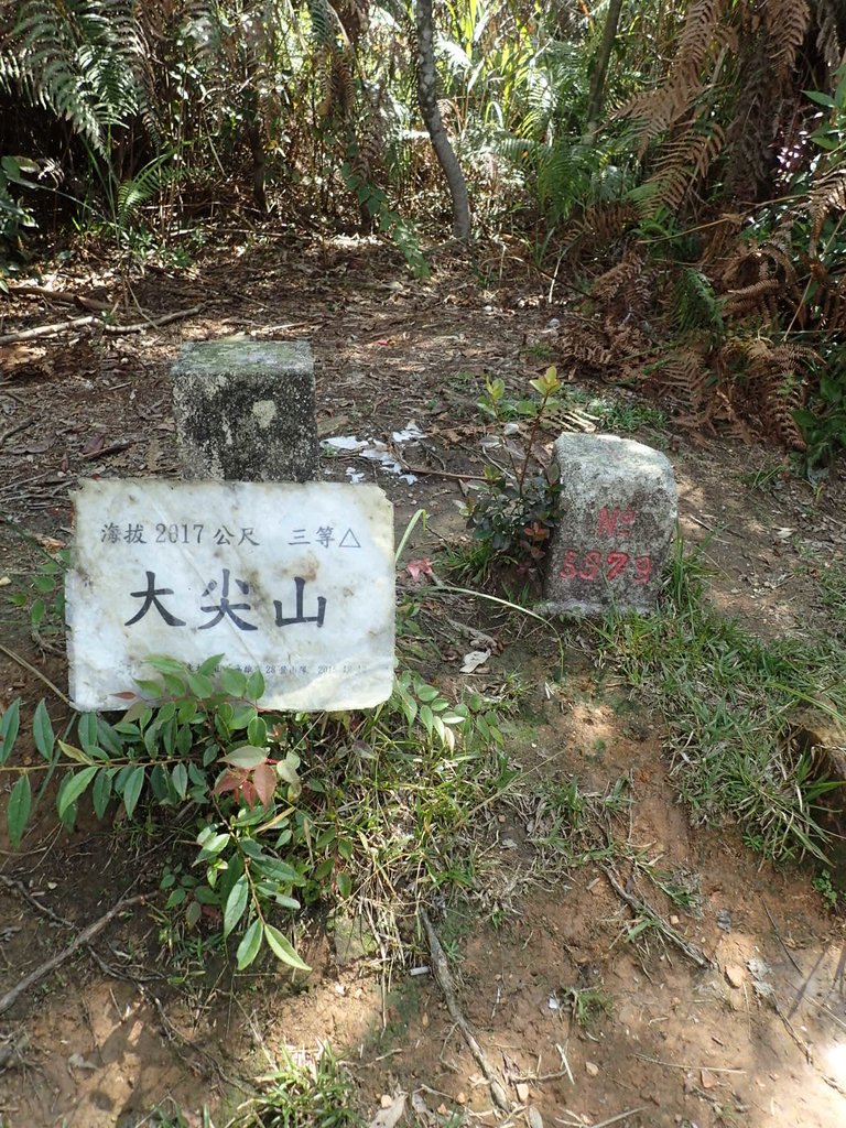 PA040478.JPG - 魚池  大尖山登山步道