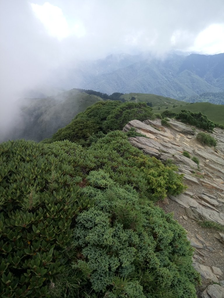 DSC_5392.JPG - 合歡山  北峰之美  (中)