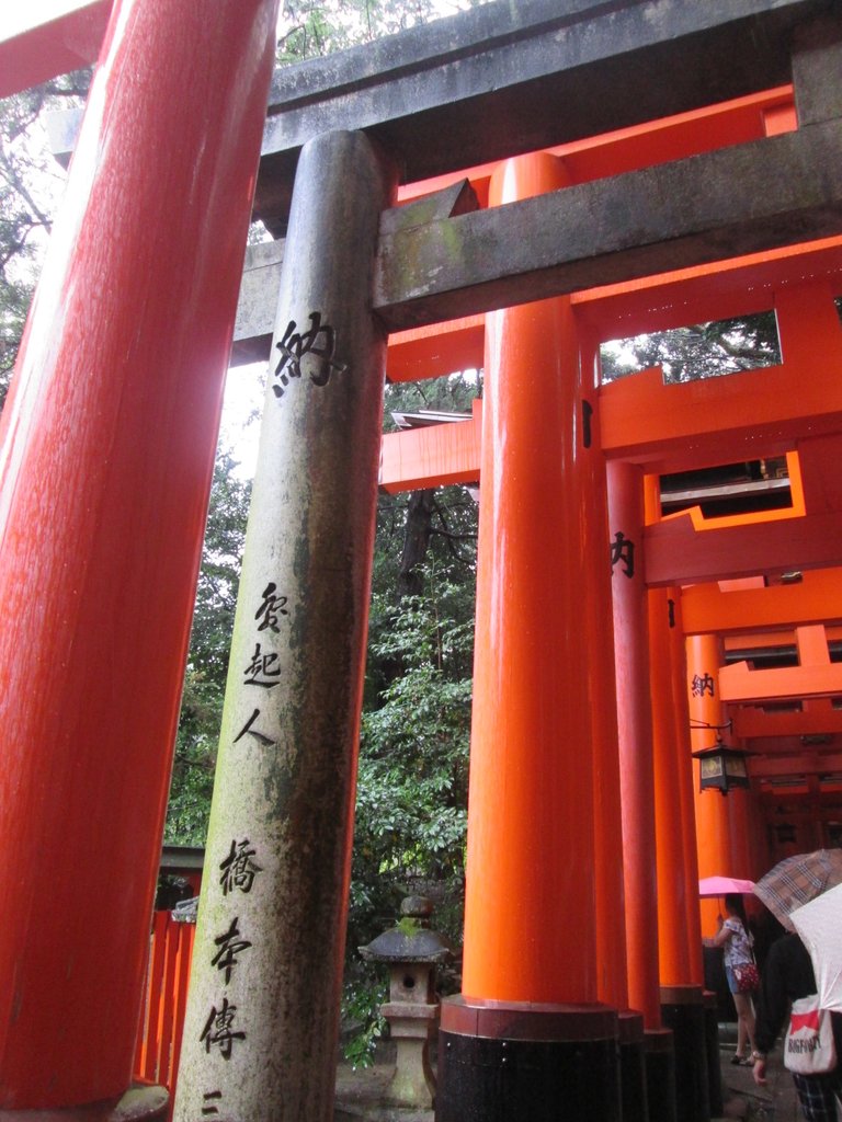 IMG_3684.JPG - 伏見稻荷神社  千本鳥居