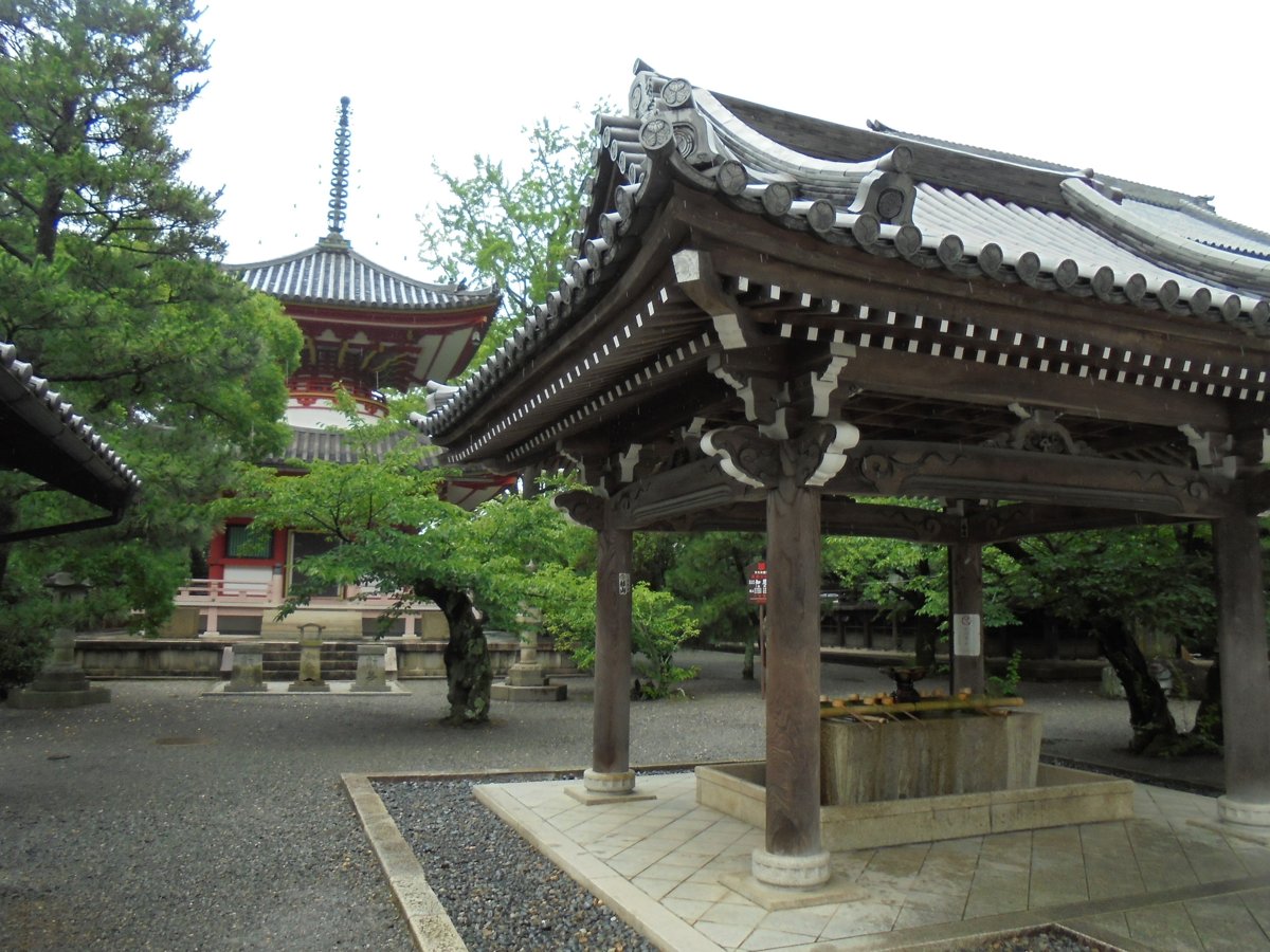 DSC04047.JPG - 京都  華頂山  知恩院