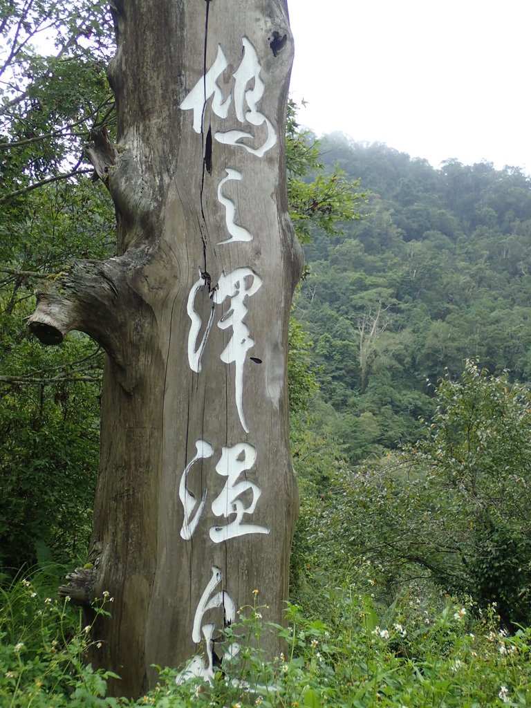 P8226906.JPG - 太平山  鳩之澤溫泉