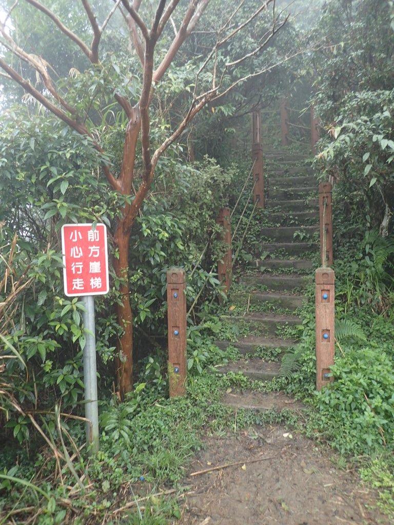 P1132766.JPG - 新店  獅子頭山隘勇線  01