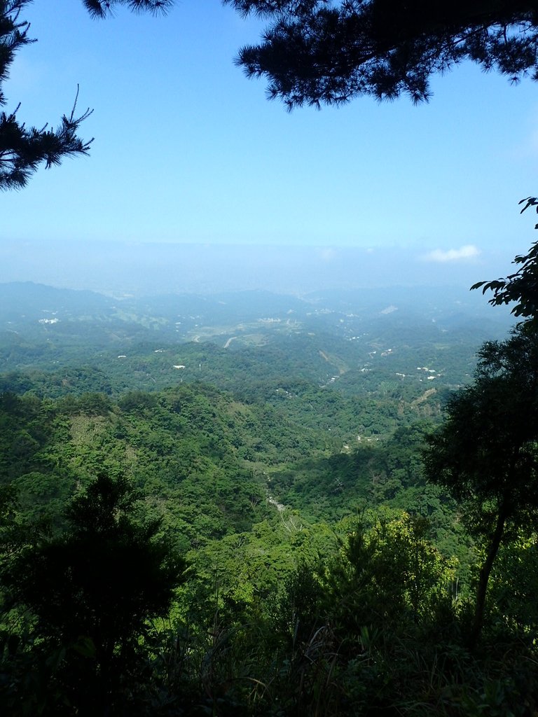 P5117155.JPG - 大坑四號步道  頭嵙山