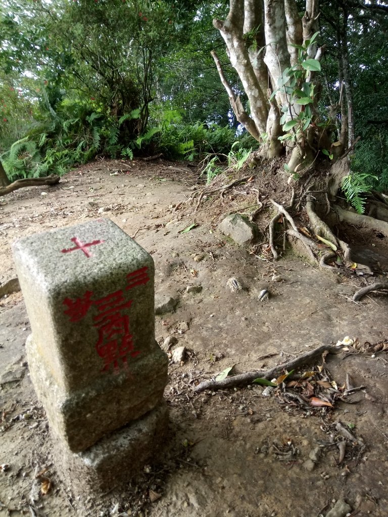 DSC_9528.JPG - 苗栗  泰安  虎山行