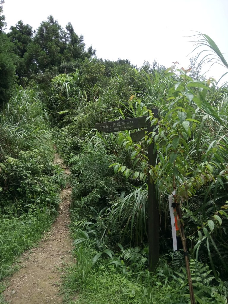 DSC_6580.JPG - 瑞芳  五分山登山步道