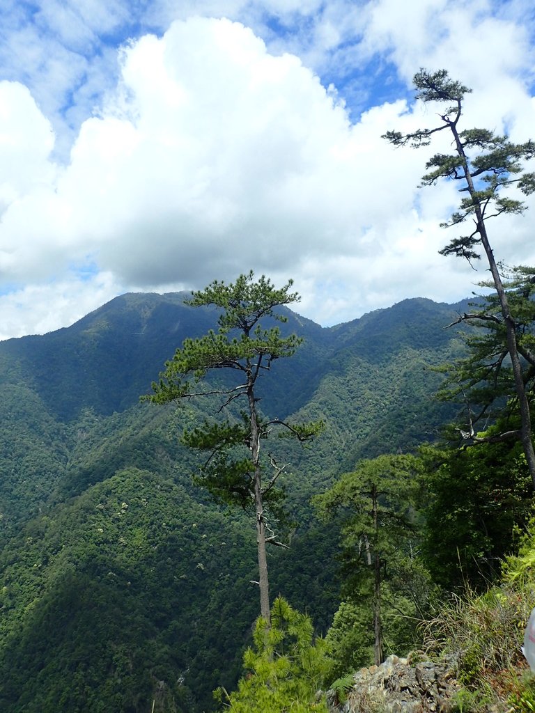 P5012343.JPG - 谷關七雄之  波津加山