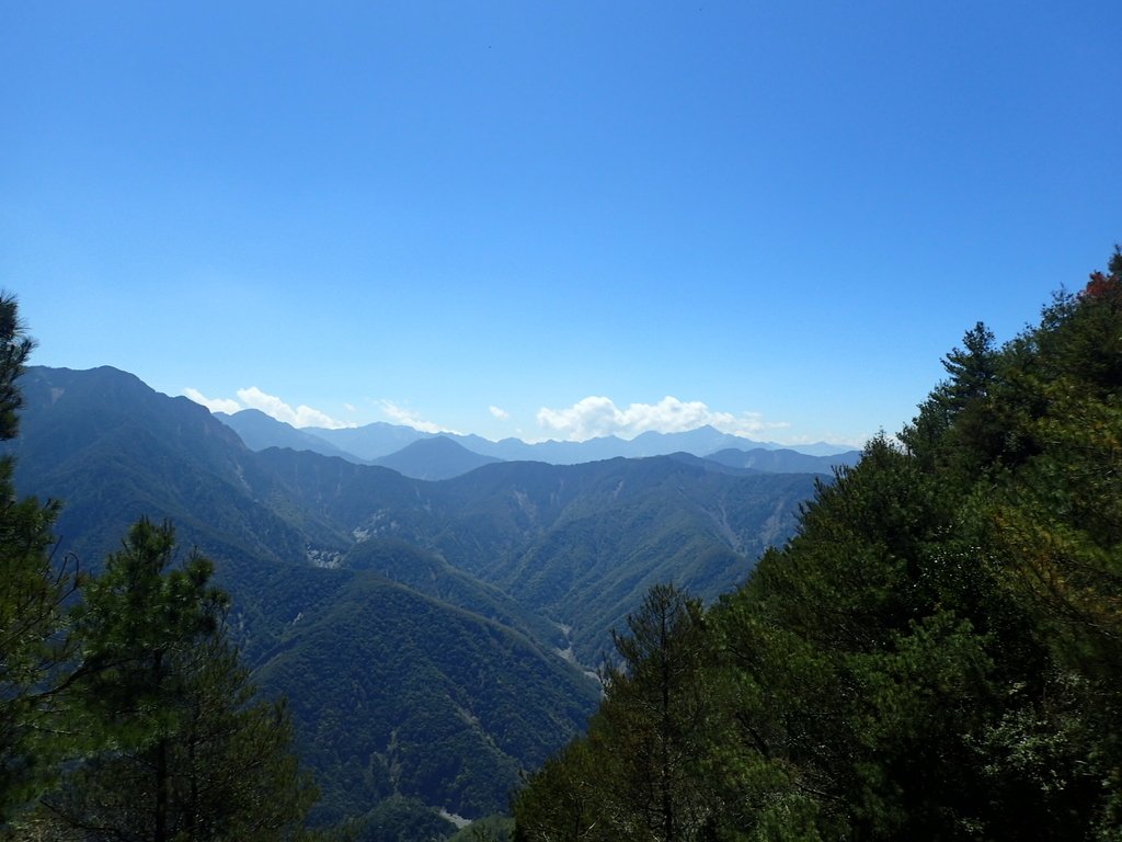 P3268106.JPG - 鹿林山  麟趾山步道  (01)