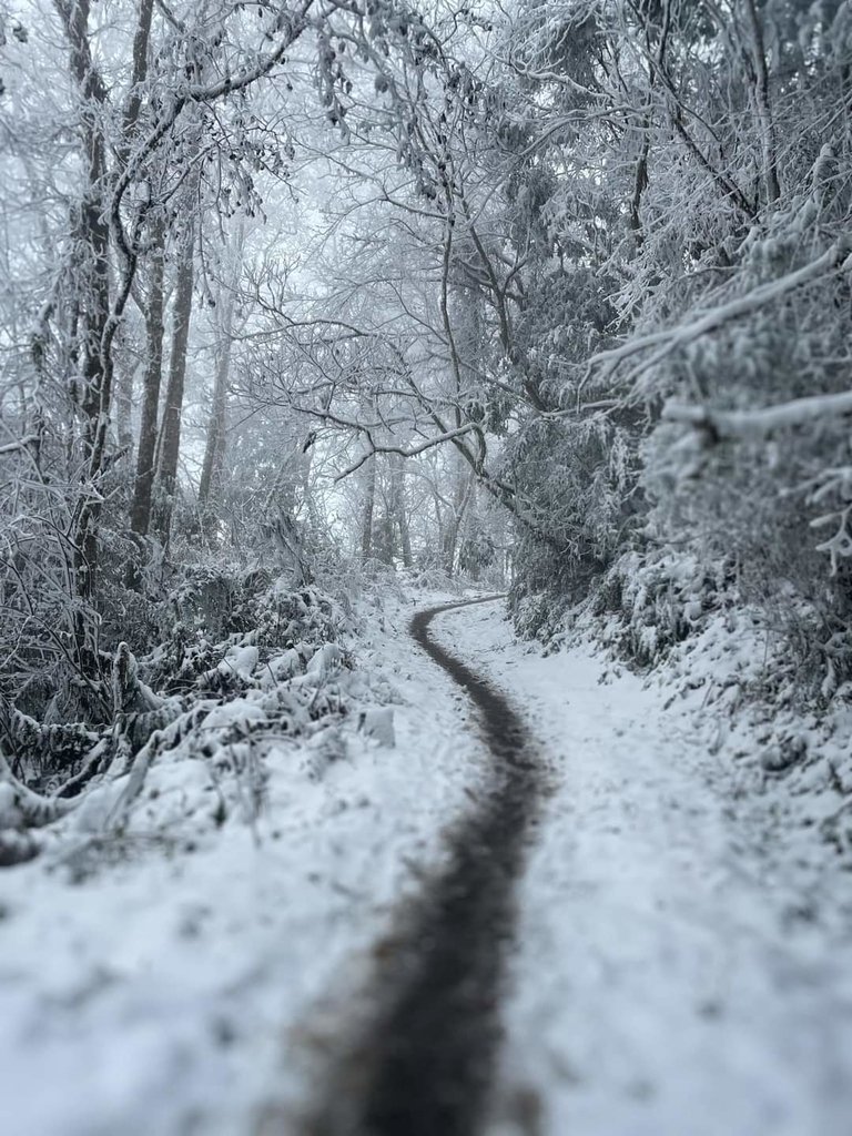 FB_IMG_1610253036911.jpg - 2021年之  初雪印象