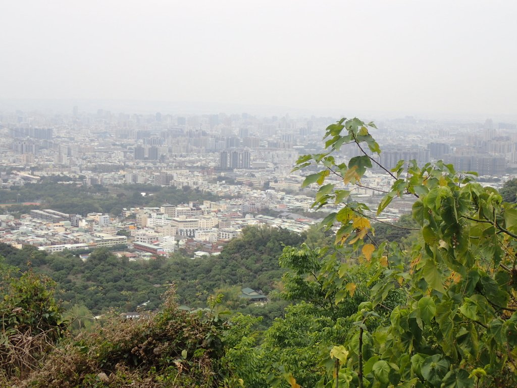 P2095048.JPG - 太平  三汀山  (望高寮)