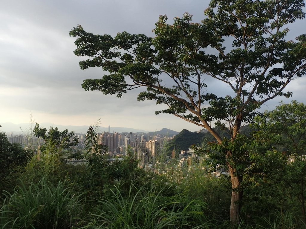 P6204755.JPG - 新店  碧潭  和美山登山步道