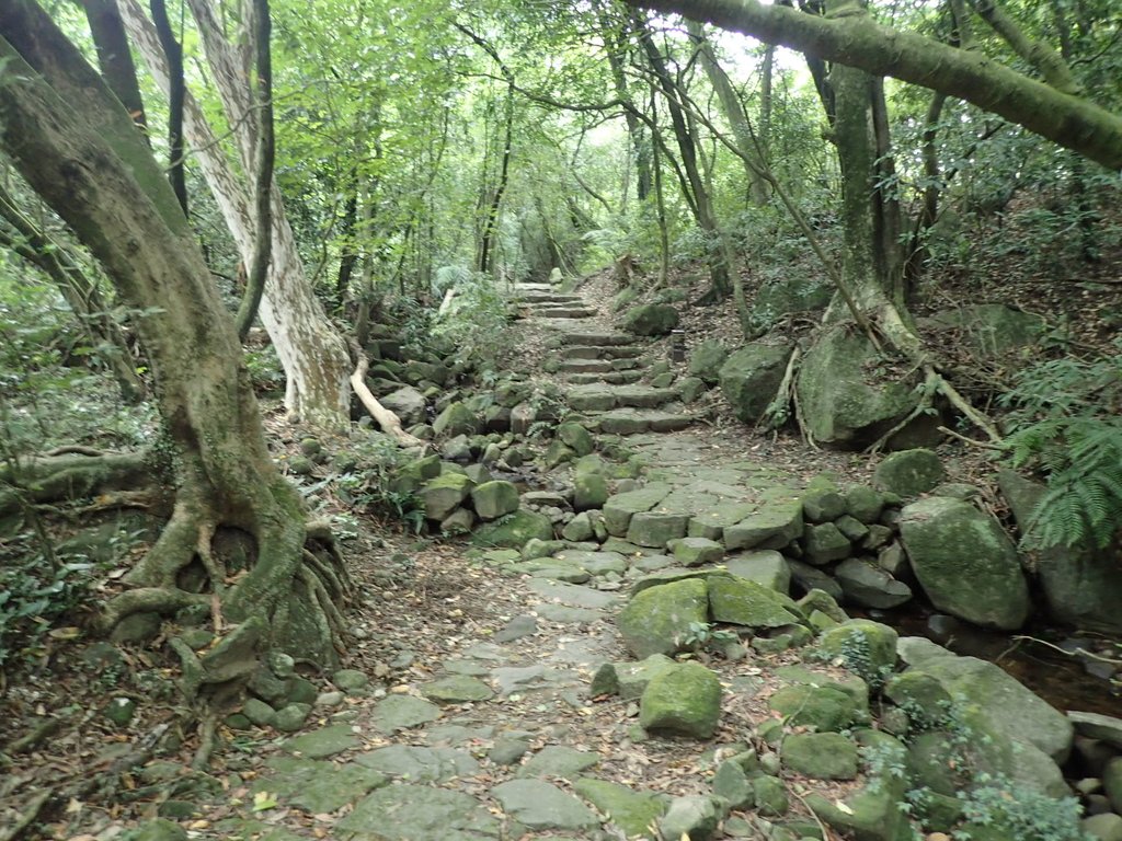 P8206993.JPG - 再訪  金包里大道  (魚路古道)