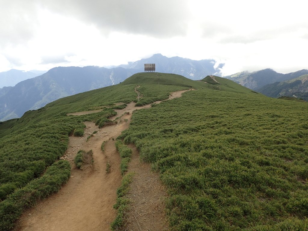 P7245987.JPG - 合歡山  北峰之美  (中)