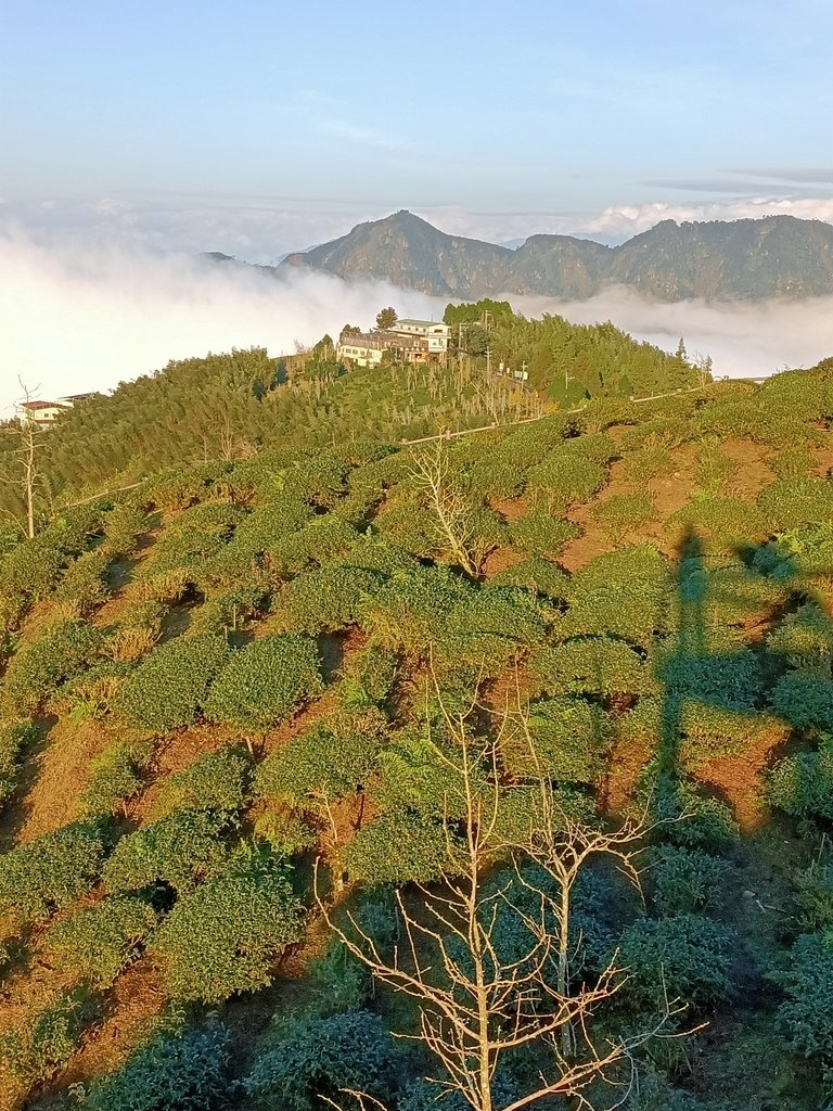 IMG20210107163955.jpg - 鹿谷  大崙山  觀霧亭之  暮光