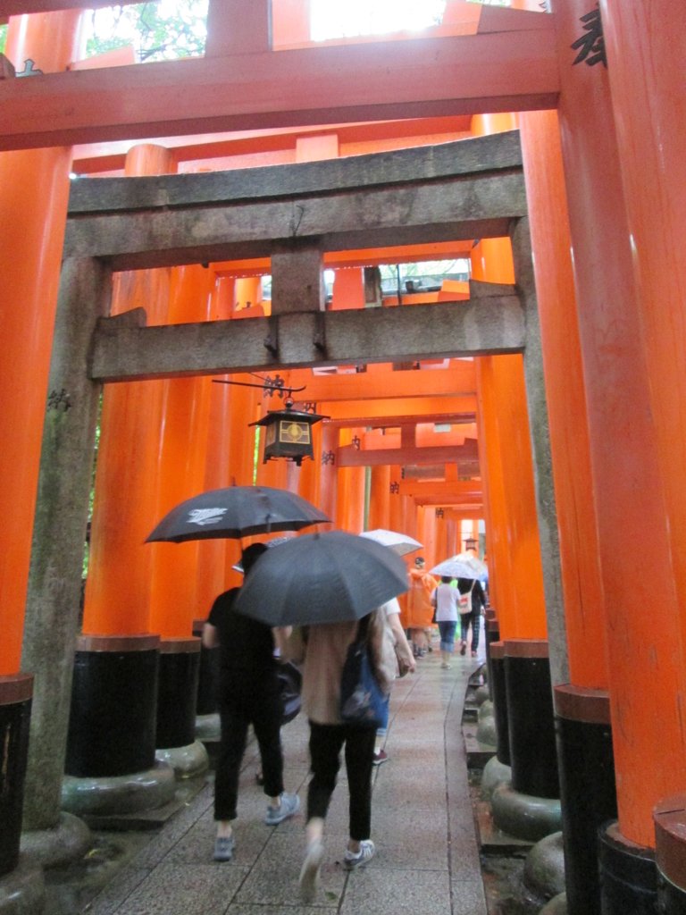 IMG_3686.JPG - 伏見稻荷神社  千本鳥居