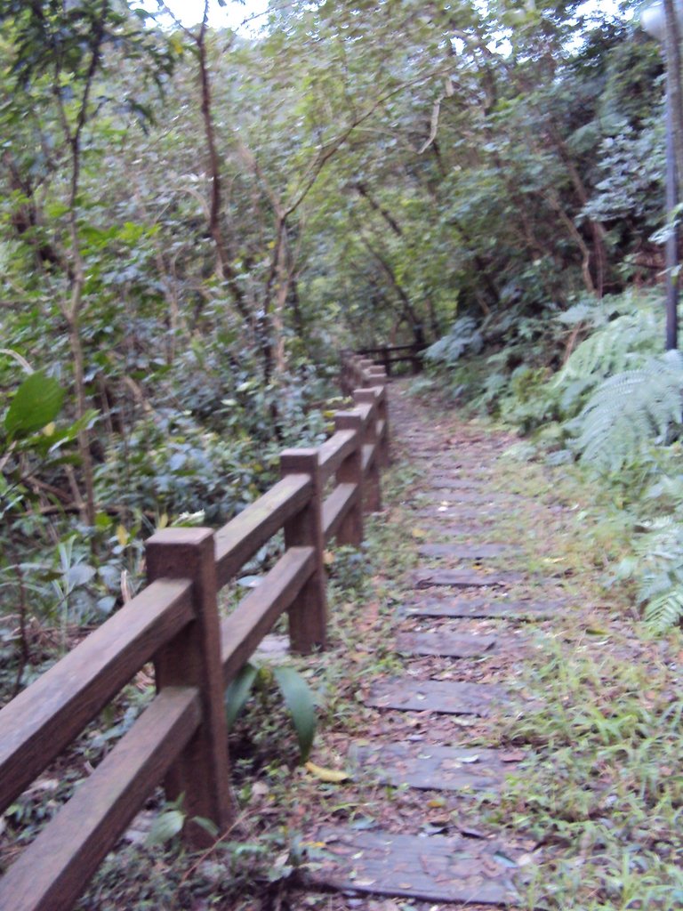 DSC03336.JPG - 瑞芳  粗坑口登山步道