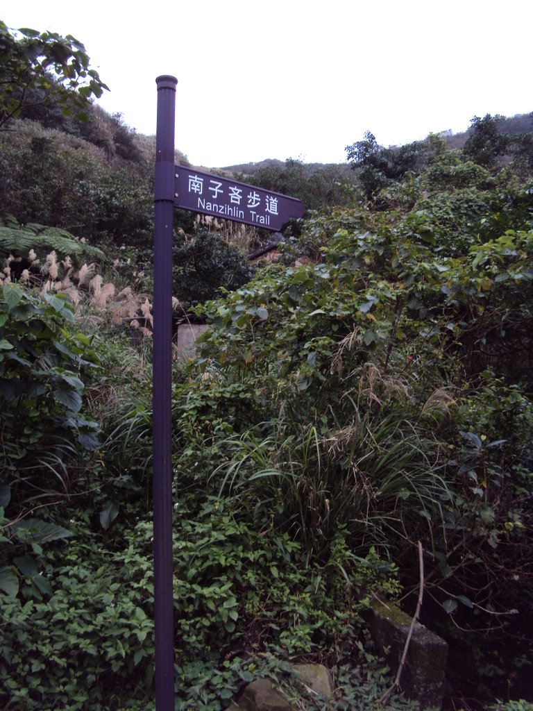 DSC06238.JPG - 瑞芳  南子吝步道