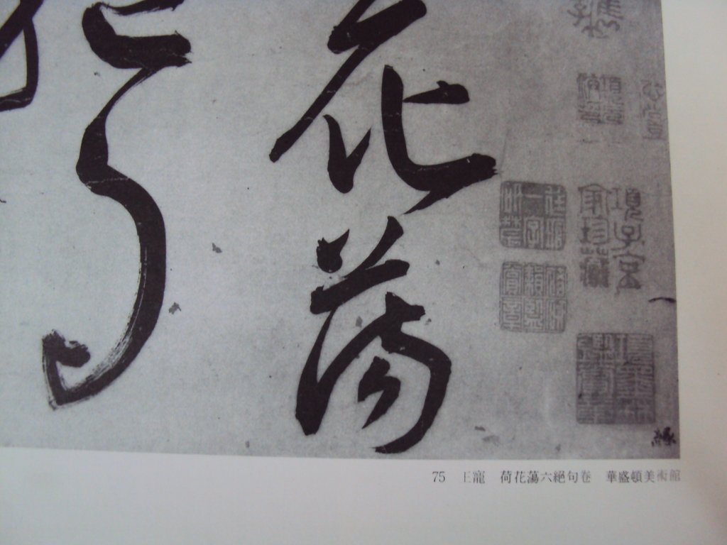 DSC00201.JPG - 王寵  草書作品