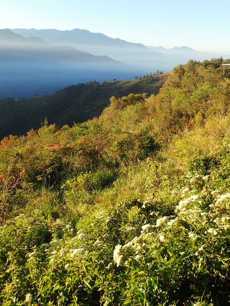 PC131926.JPG - 南投  清境  羊角村民宿