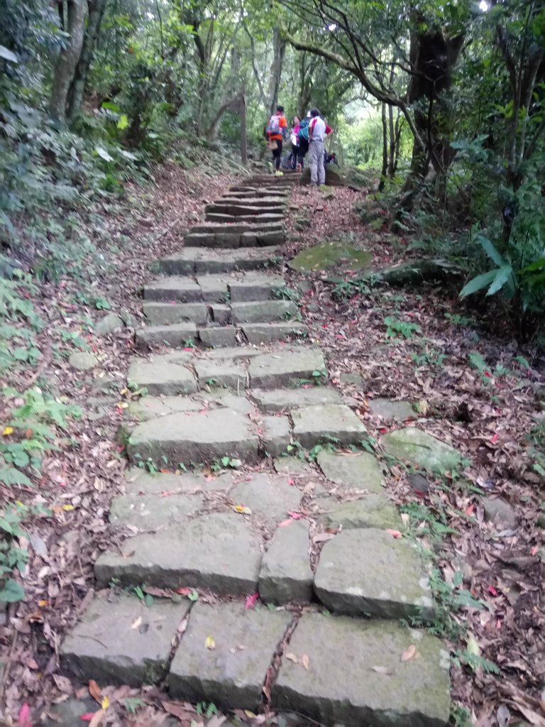 DSC_6902.JPG - 北投  面天山  向天湖步道