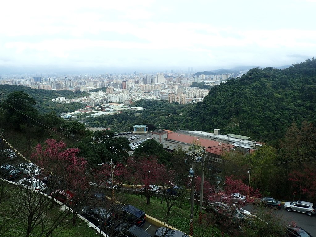 P2178238.JPG - 中和  南勢角山  (烘爐地)