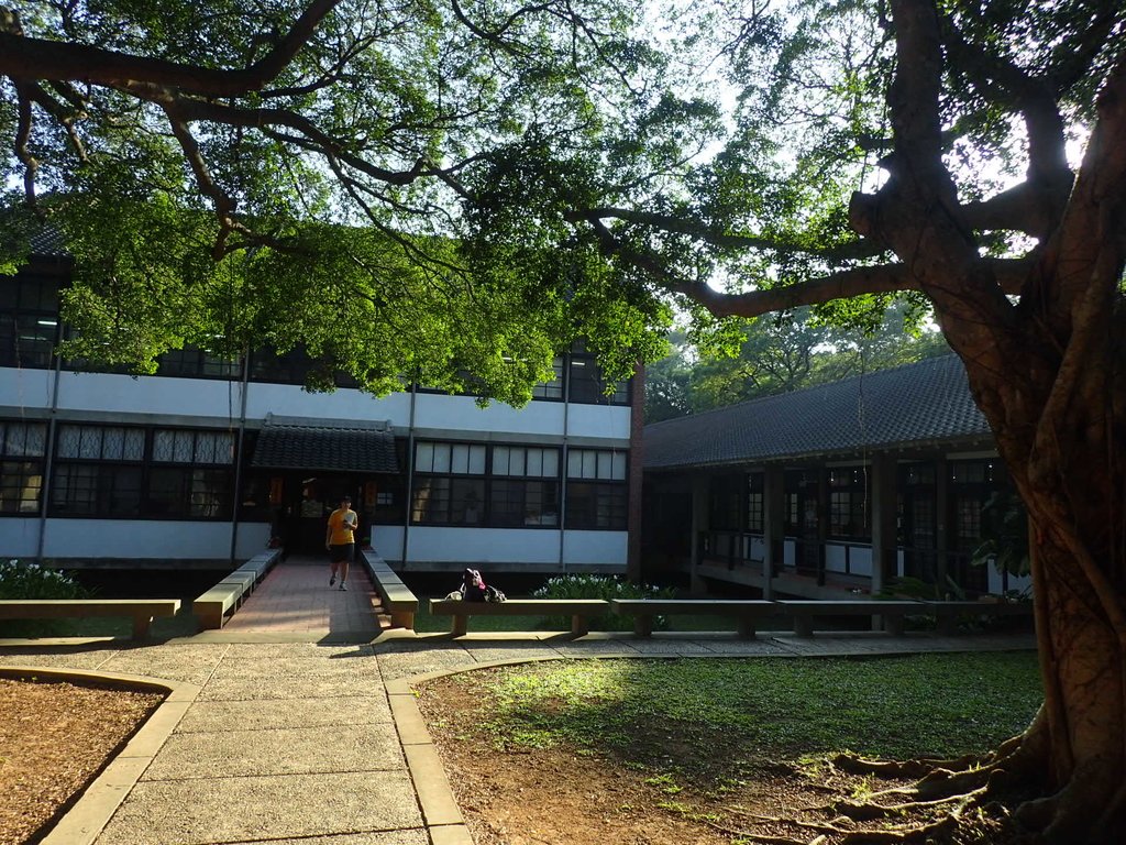 PA246575.JPG - 台中  東海大學校園巡禮