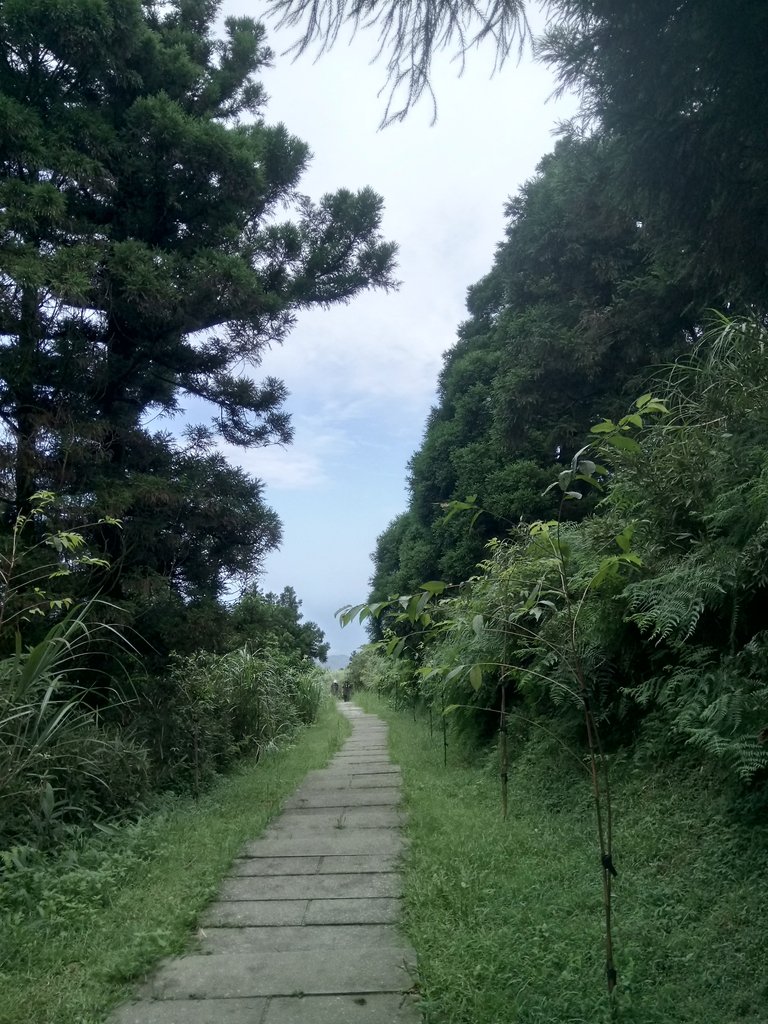 DSC_6581.JPG - 瑞芳  五分山登山步道