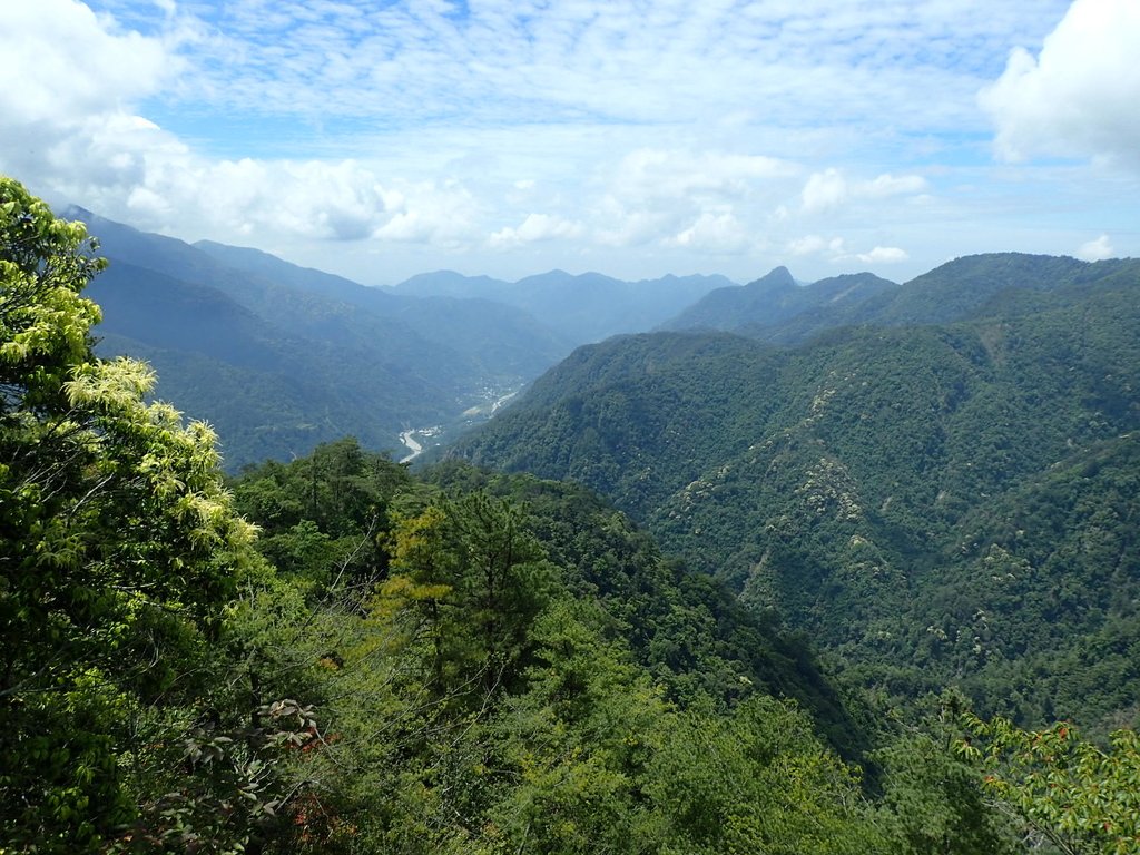 P5012351.JPG - 谷關七雄之  波津加山