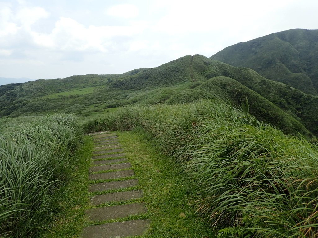 P5258753.JPG - 貢寮  桃源谷  灣坑頭山