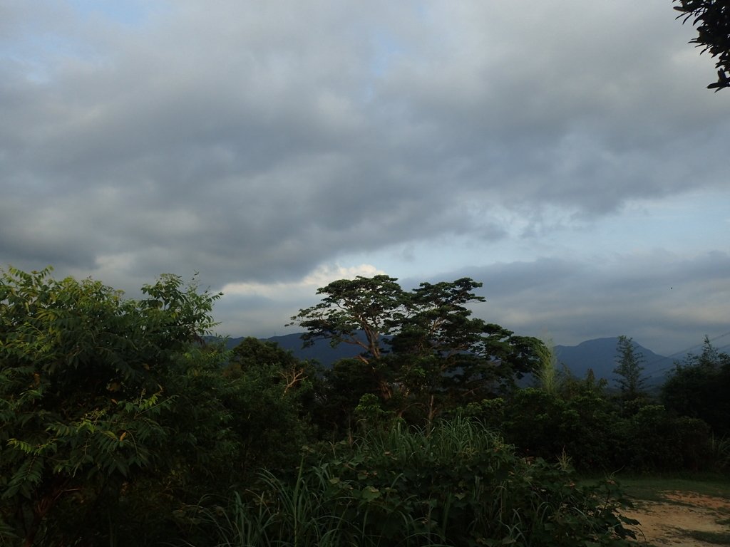 P6204756.JPG - 新店  碧潭  和美山登山步道