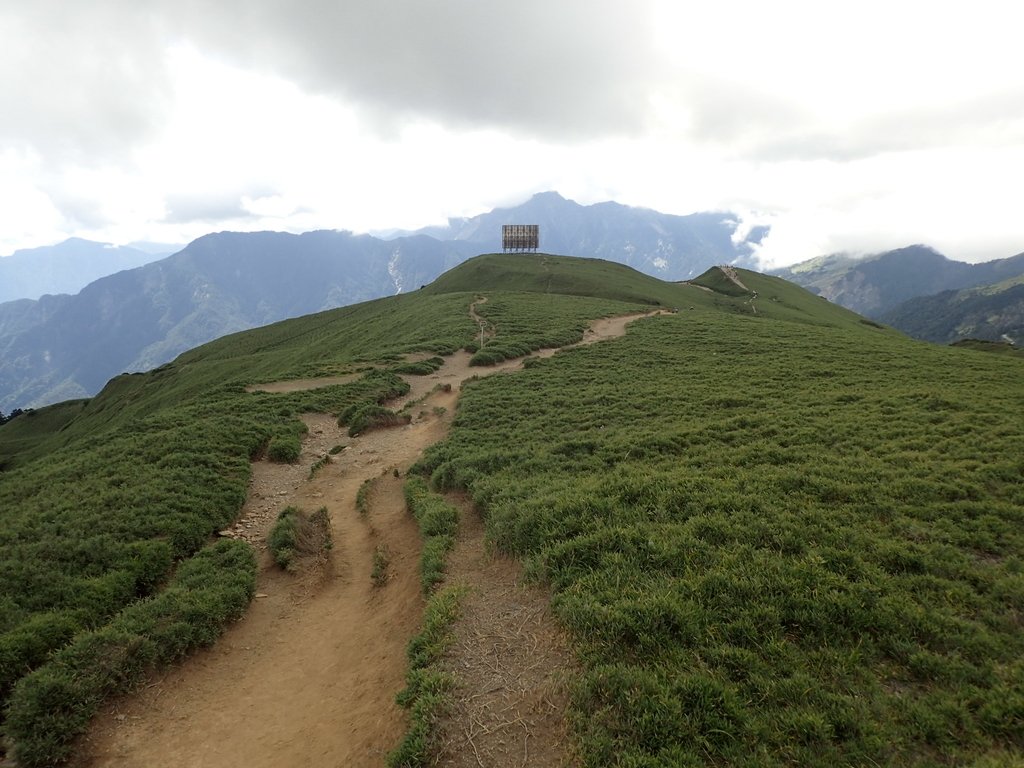 P7245988.JPG - 合歡山  北峰之美  (中)