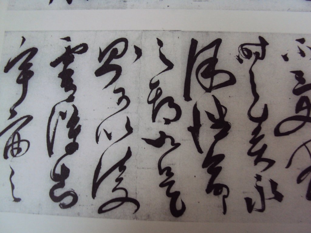 DSC00254.JPG - 陳淳的草書作品