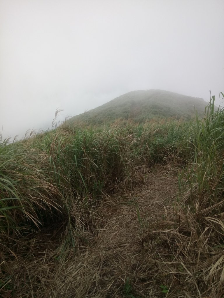 DSC_2861.JPG - 瑞芳  牡丹山