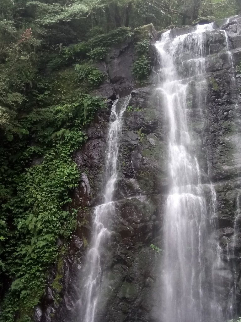 DSC_6134.JPG - 三峽  滿月圓森林遊樂區