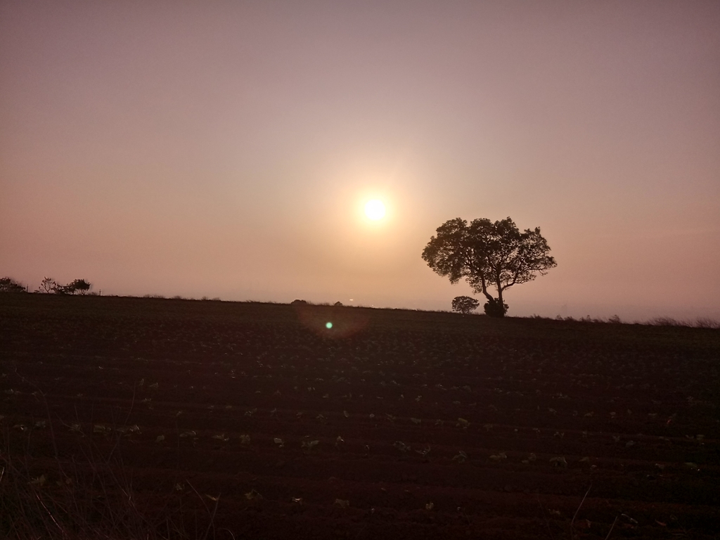 DSC_3736.JPG - 大肚山  紅土高坡  夕照