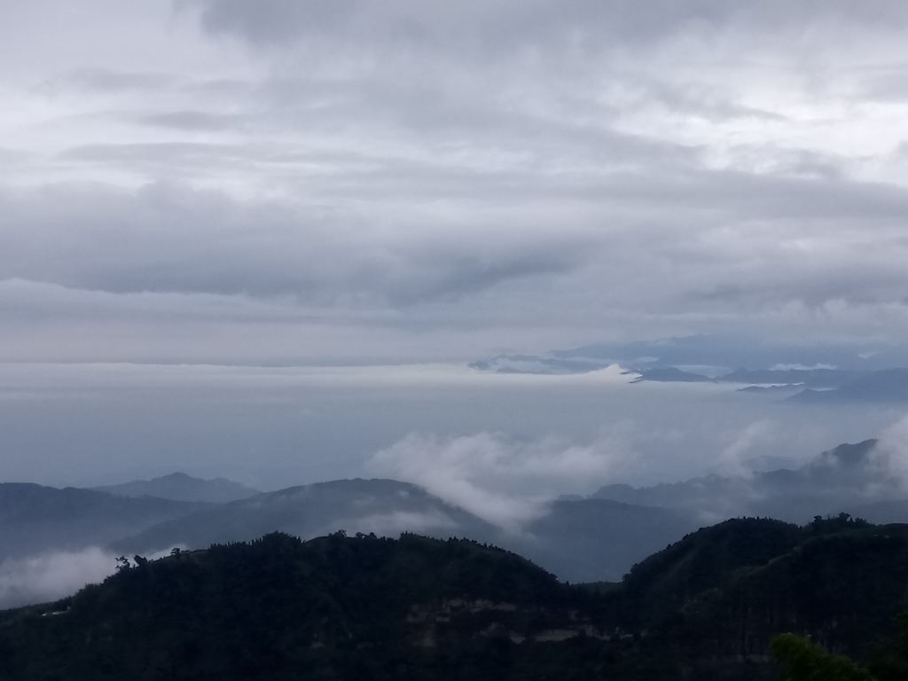 DSC_1331.JPG - 古坑  雲嶺之丘