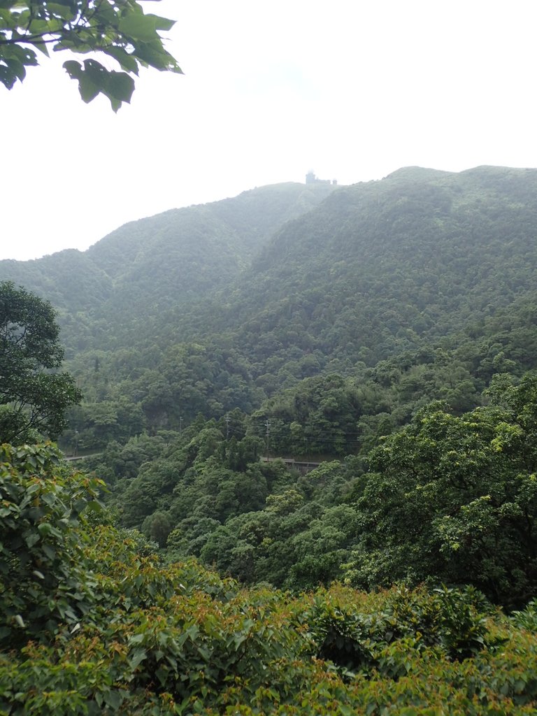 P7203893.JPG - 瑞芳  五分山登山步道